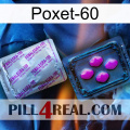 Poxet-60 37